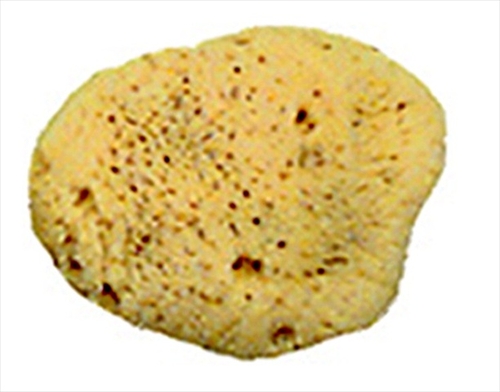 ROYAL BRUSH 037793 All Purpose Imported Mediterranean Silk Pottery Spo