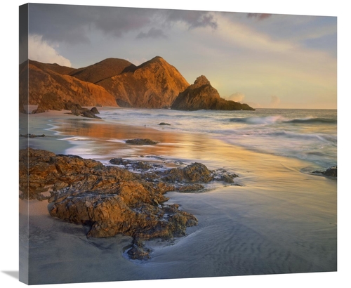 30 in. Bean Hollow Beach, Big Sur, California Art Print - Tim 