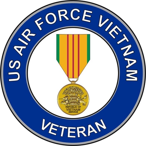 3 Inch Cloth Patch Us Air Force Veteran With Vietnam
