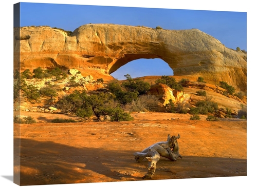 Global Gallery GCS-397187-2432-142 24 x 32 in. Wilson Arch with A Span