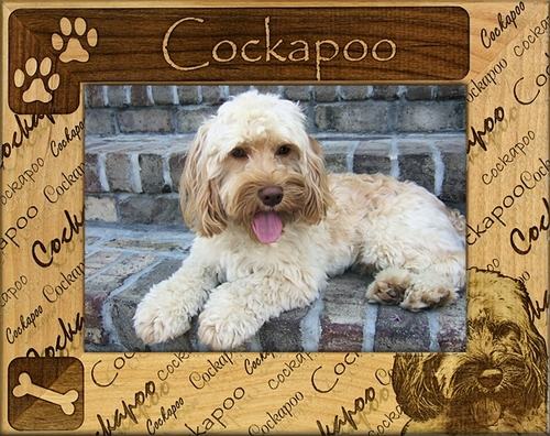 Giftworks Plus DBA0057 Cockapoo- Alder Wood Frame- 3.5 x 5 In