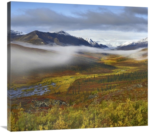 Global Gallery GCS-396904-36-142 36 in. Fog Over Tundra, Tombstone