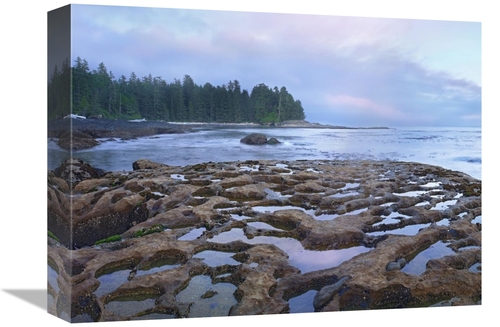 Global Gallery  12 x 16 in. Tide Pools Exposed at Low Tide, Botani