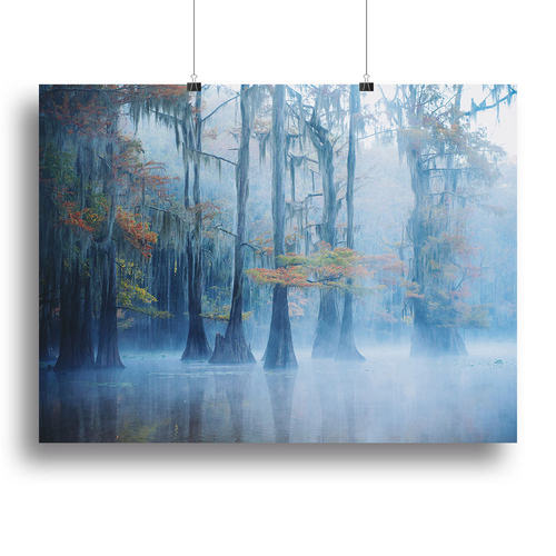 Foggy Swamp Morning Canvas Print or Poster