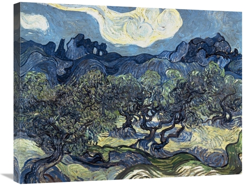 Global Gallery GCS-281284-30-142 30 in. Olive Trees with the Alpilles 