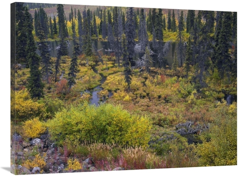 Global Gallery GCS-397036-3040-142 30 x 40 in. Beaver Pond Amid Boreal