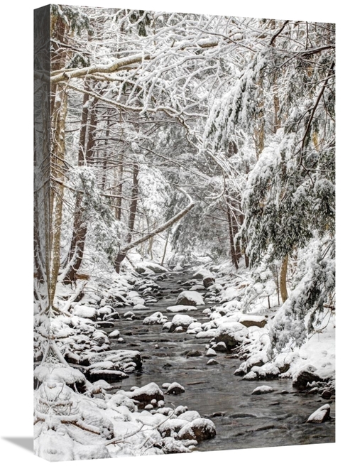 Global Gallery GCS-397598-1624-142 16 x 24 in. Stream in Winter, N