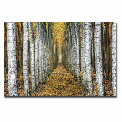 Artistic Home Gallery 1624V778CG Tree Farm by Michael Cahill Premium G