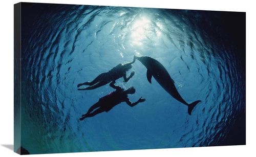 Global Gallery GCS-450628-2030-142 20 x 30 in. Bottlenose Dolphin Silh