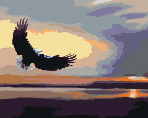 Zuty - Paint by Numbers - EAGLE OVER WATER AT DUSK (D. RUSTY RUST),