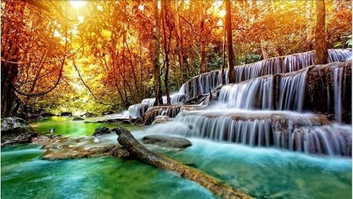 paintings canvas wall art large size for living room decor. Large