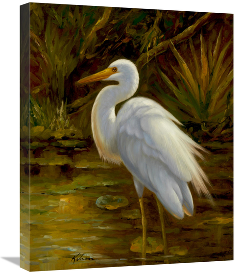 Global Gallery GCS-132585-2024-142 20 x 24 in. Tropical Egret II Art P