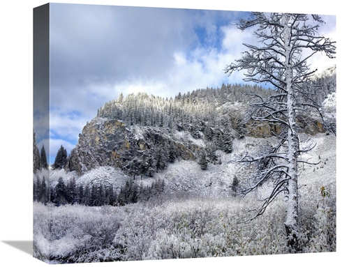 Global Gallery GCS-396196-16-142 16 in. Light Snow Covering Boulder Mo