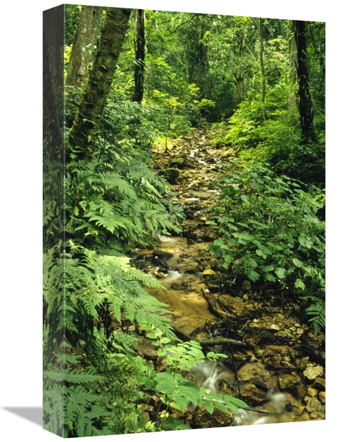 Global Gallery GCS-452780-1218-142 12 x 18 in. Gombe Stream Flowing Th