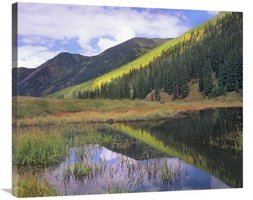 Global Gallery GCS-396728-36-142 36 in. Pond & Mountains, Maroon B