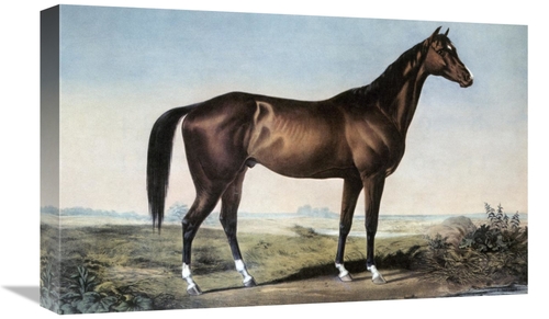 Global Gallery GCS-277172-22-142 22 in. Celebrated Horse Lexington Art