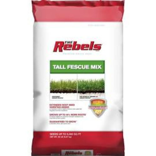 Pennington 7229537 Tall Fescue Blend bag, 20 lbs