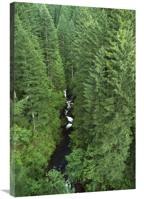 Global Gallery GCS-452995-2436-142 24 x 36 in. Oneonta Creek, Colu