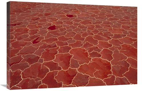 Global Gallery GCS-452871-2436-142 24 x 36 in. Soda & Algae Formation 