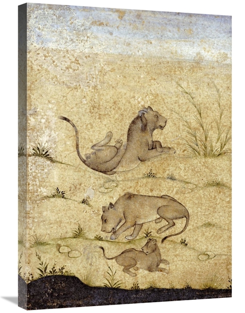 Global Gallery GCS-268328-30-142 30 in. A Family of Lions Art Print - 