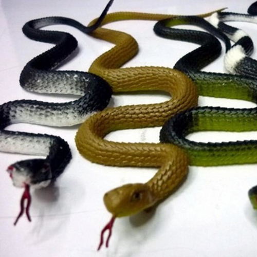 Practical Jokes Interesting Prank Horror Fun