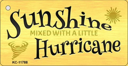 Smart Blonde KC-11788 1.5 x 3 in. Sunshine with a Little Hurricane Nov