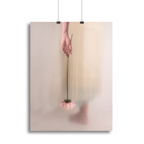 Holding A Pink Flower Canvas Print or Poster