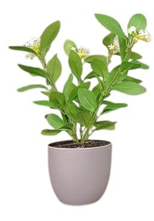 Plant Bush in Plastic Pot Artificial for Home Decor (SIZE-10x10cm)