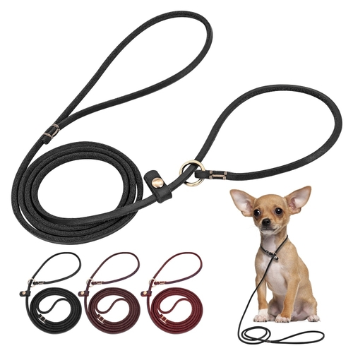 Dog Leash Leather Pet Walking Training Collar