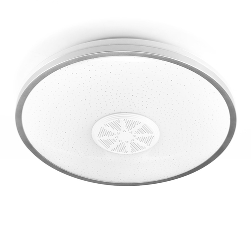 Bluetooth Wireless Music Ceiling Light