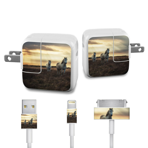 DecalGirl APCH-UNICORNS Apple iPad Charge Kit Skin - Hornless Unicorns