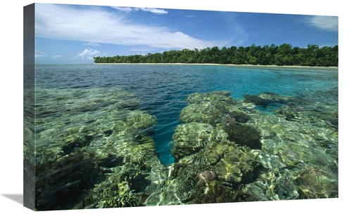 Global Gallery GCS-452342-1624-142 16 x 24 in. Coral Lagoon & Palm Lin