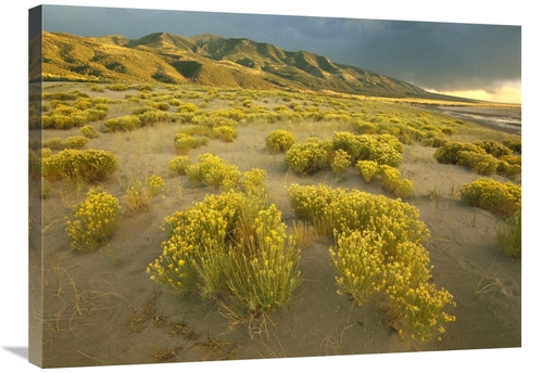 Global Gallery GCS-396886-2432-142 24 x 32 in. Sangre De Cristo Mounta