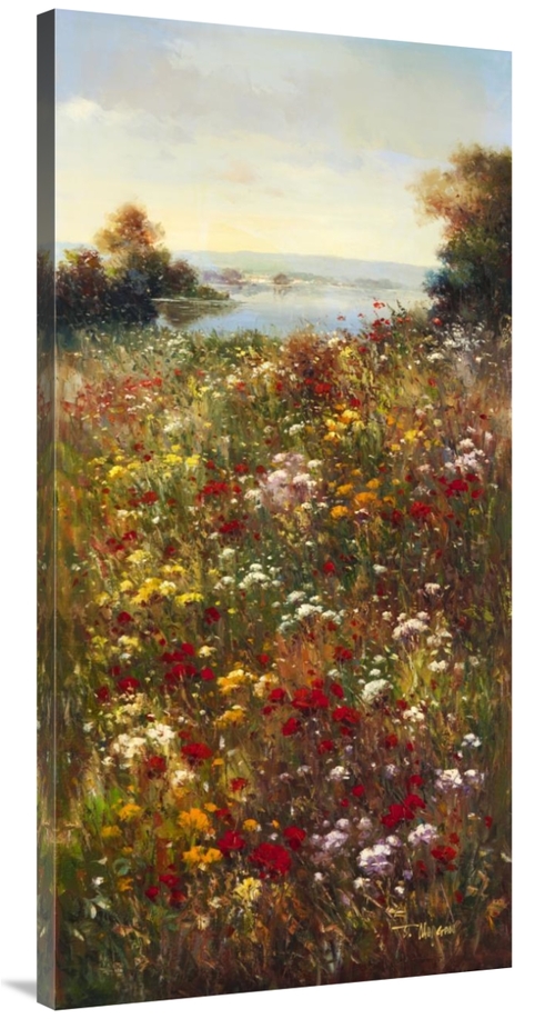 Global Gallery GCS-39430-2448-142 24 x 48 in. Wildflower Meadow I Art 