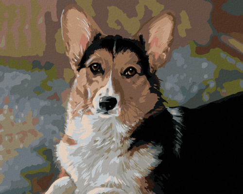 Zuty - Paint by Numbers â€“ WELSH CORGI PEMBROKE (VICTORIA SCHULTZ),