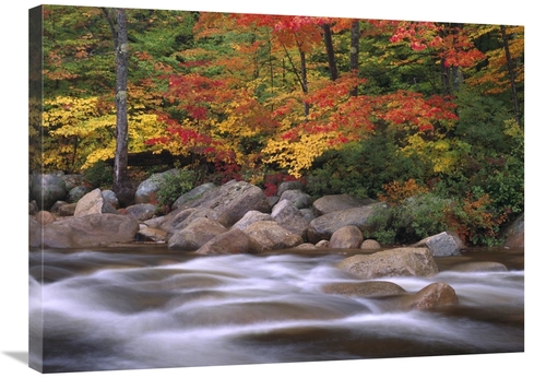 Global Gallery GCS-396839-2432-142 24 x 32 in. Autumn Along Swift Rive