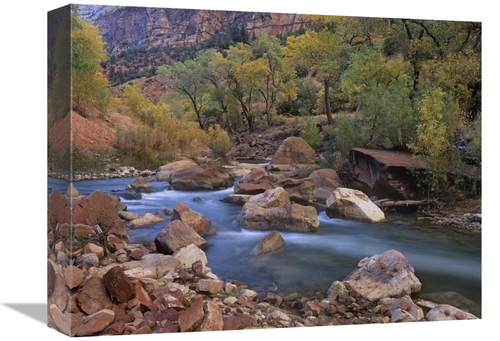 Global Gallery GCS-396823-1216-142 12 x 16 in. Virgin River Flowing Th