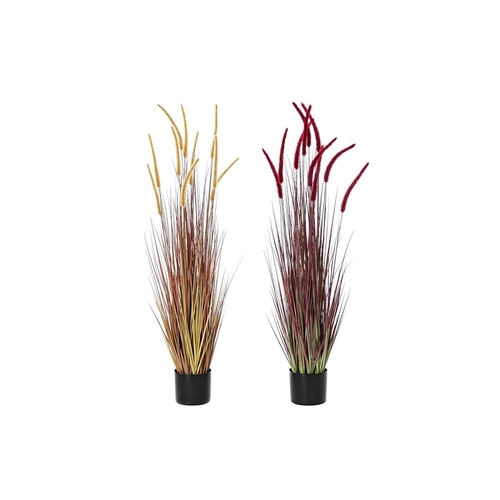 Decorative Plant DKD Home Decor Orange Polyethylene Burgundy PVC 20 x