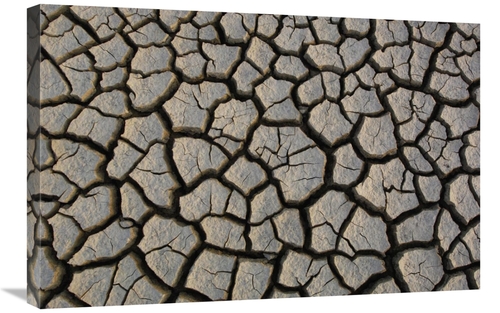 Global Gallery GCS-397934-2030-142 20 x 30 in. Cracked Mud on the Salt