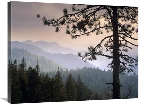 Global Gallery GCS-396901-2432-142 24 x 32 in. View Over Foothills to 