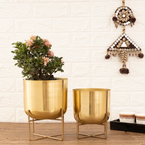 Olive Gold Planters (Pack of 2)