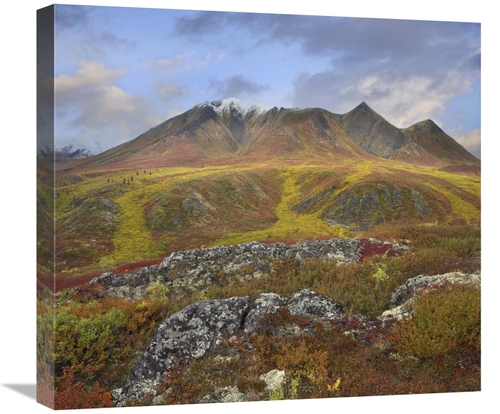 Global Gallery GCS-396450-22-142 22 in. Cloudy Range, Tombstone Te