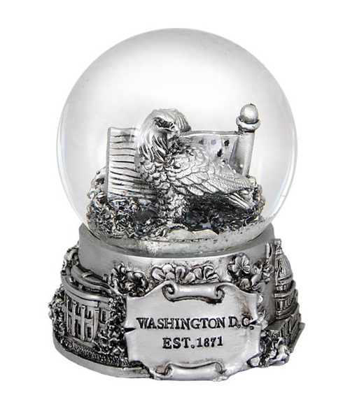 Americaware PSGWDC65 Washington DC 65 mm Snow Globe