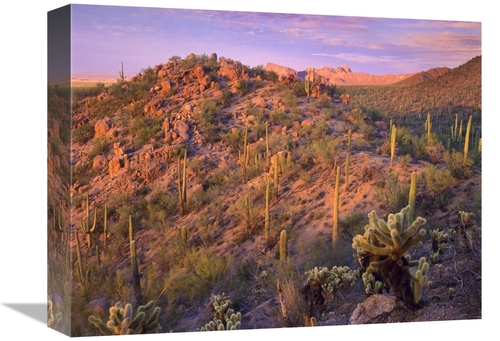 Global Gallery GCS-395942-1216-142 12 x 16 in. Panther & Safford Peaks