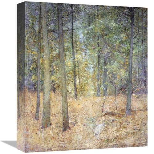 Global Gallery GCS-267821-16-142 16 in. A Light in the Forest Art Prin