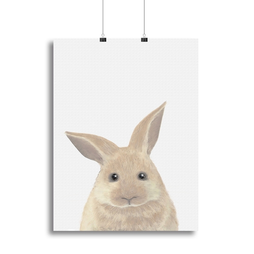 Rabbit Canvas Print or Poster