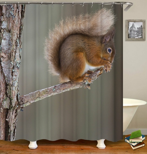 Cute Little Squirrel Shower Curtain