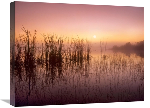 Global Gallery GCS-396970-1824-142 18 x 24 in. Reeds Reflected in Swee