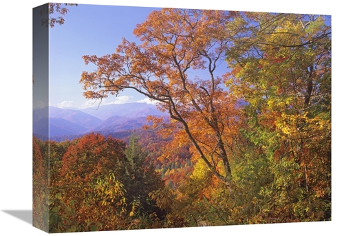 Global Gallery GCS-396599-1216-142 12 x 16 in. Great Smoky Mountains F