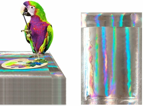 Amiff Glamour Hologram Bubble Mailers 10.5 x 15.5, Pack of 10 Shiny